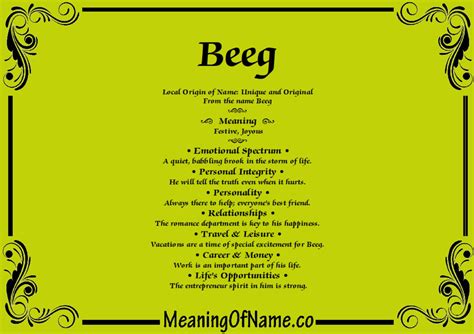 beeg meaning|Beeg Definition & Meaning